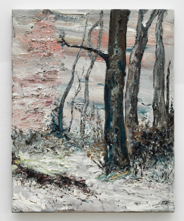 Europe (Snow), Ronald Ophuis, 2025
Oil on canvas
50 x 40 cm Europe (Snow), Ronald Ophuis, 2025
Oil on canvas
50 x 40 cm