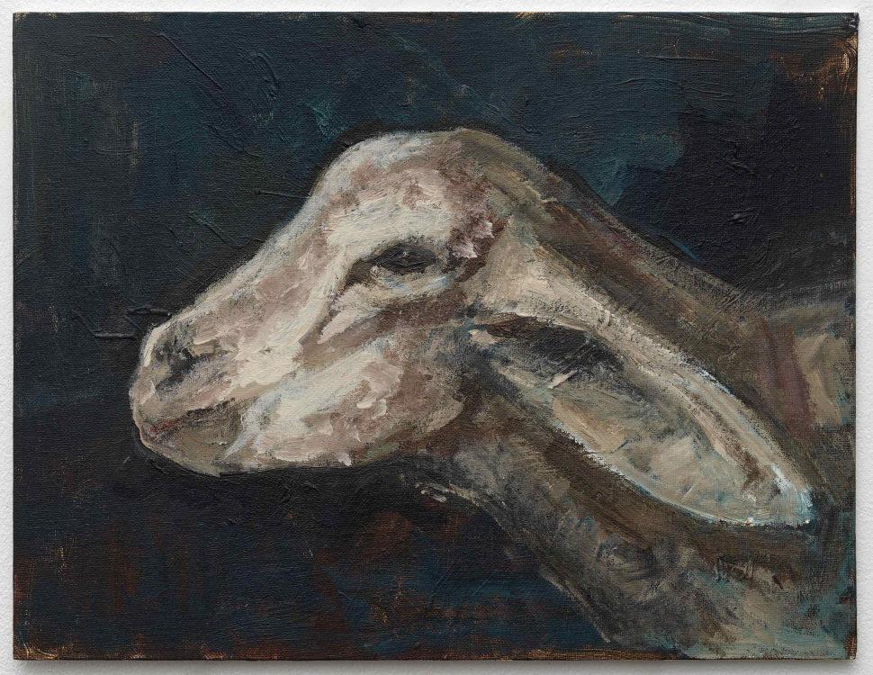 Head of a Young Goat, Ronald Ophuis (2023) Head of a Young Goat, Ronald Ophuis (2023)