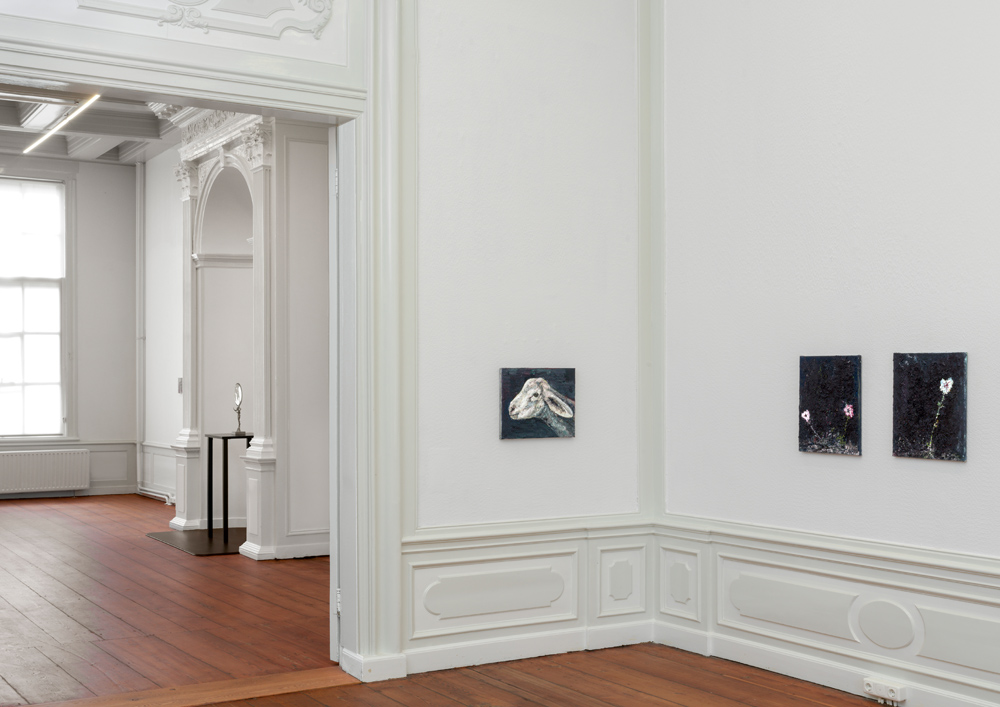 Young Goat (2023), Flowers (2015–2023), Flowers (2018–2023) Young Goat (2023), Flowers (2015–2023), Flowers (2018–2023)